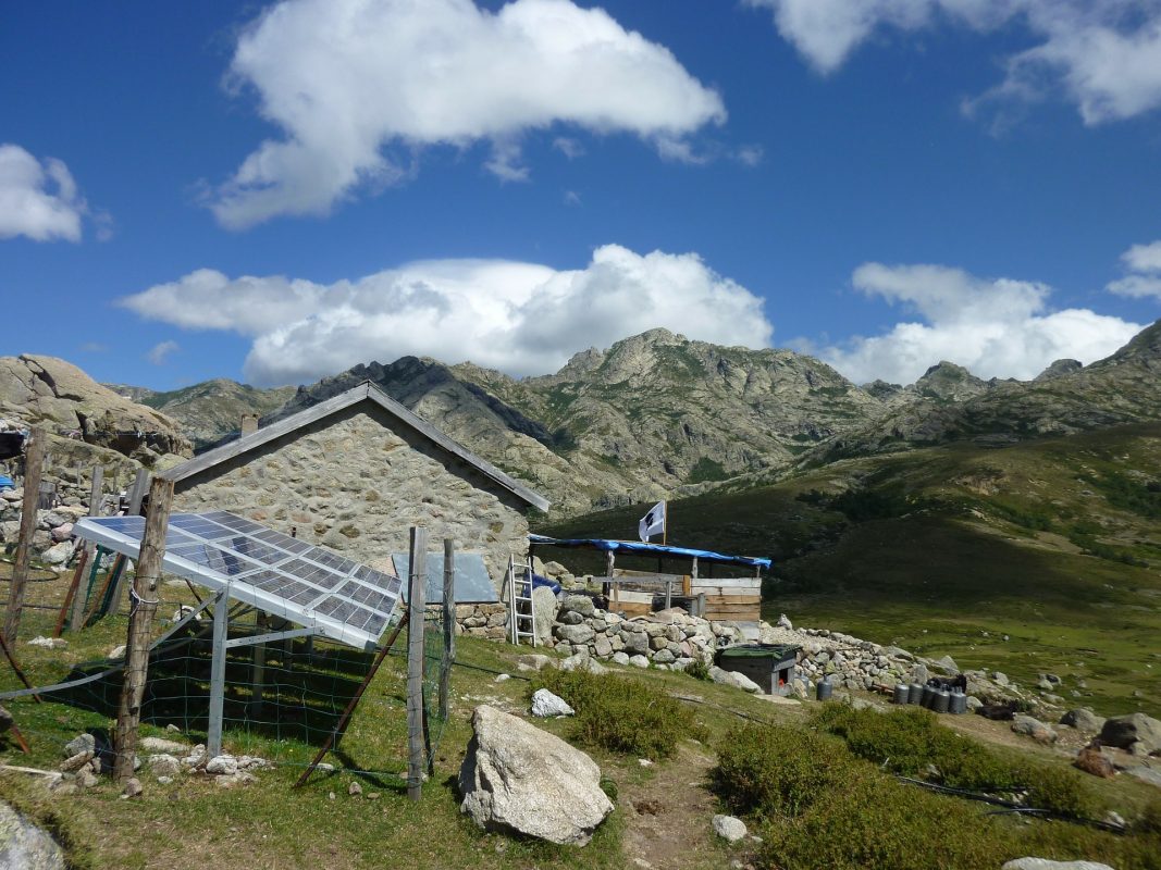 Polz Shop –  Solar |  Photovoltaik | Energie | Batterie 