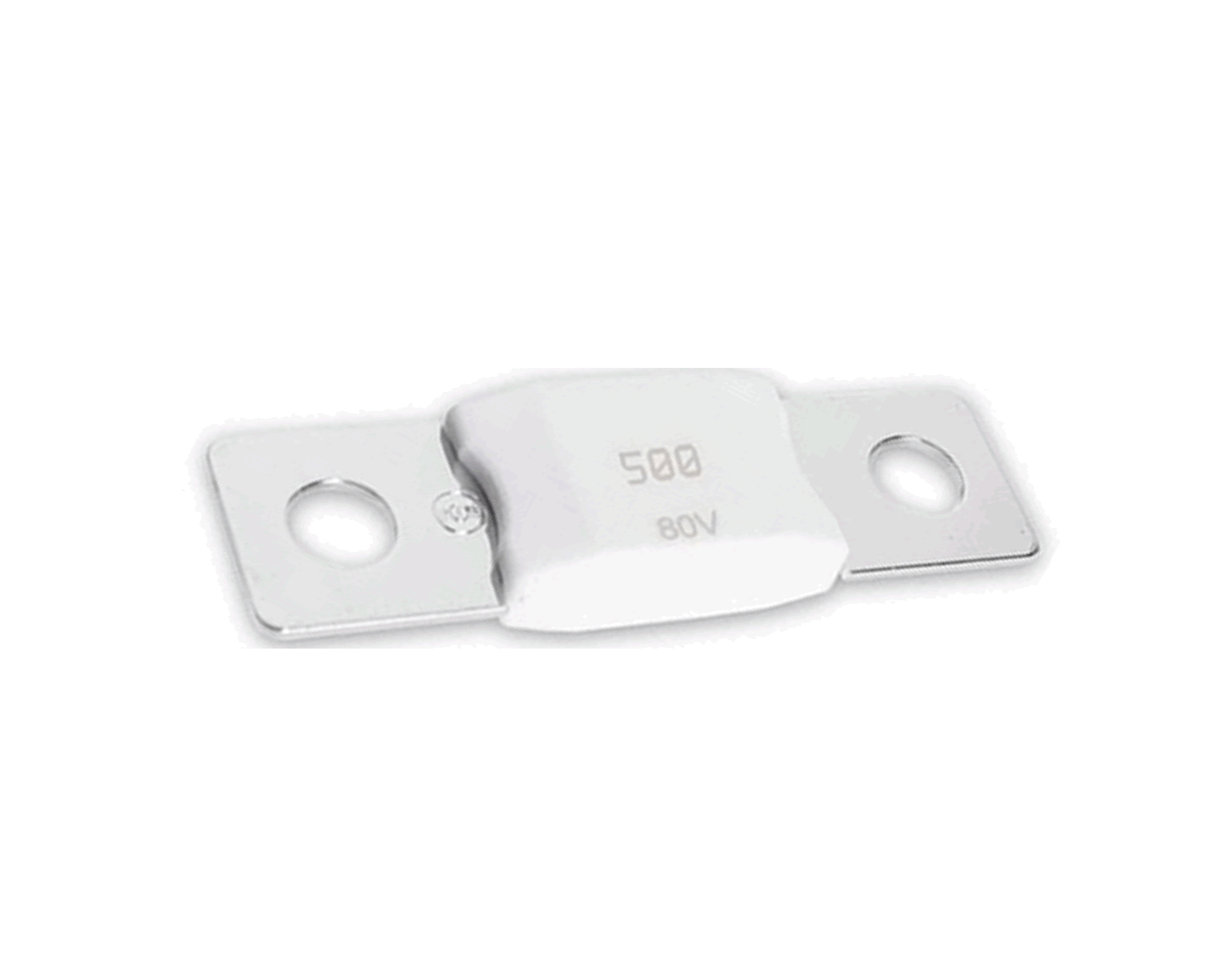 Mega-fuse 500A/80V (1pcs)